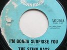 THE STING RAYS-I'm Gonna Surprise You/Lady Be Good-Rare Mod/R'n'B/Garage-Hear