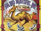 IT'S A BEAUTIFUL DAY Choice Quality... AUTOGRAPHED David LaFlamme SAN FRANCISCO