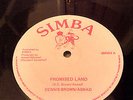 DENNIS BROWN / ASWAD - PROMISED LAND - Killer ROOTS 12