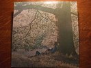 Yoko Ono  Plastic Ono Band  near mint Apple Records John Lennon, Ringo Starr