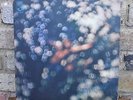Pink Floyd ?- Obscured By Clouds **UK 1st Press 1972 Harvest SHSP 4020**