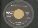PICTURE REACH OUT / EVOLUTION NASCO orig US GARAGE PSYCH 7