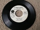 Roger Nichols Trio