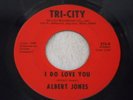 ALBERT JONES  * I DO LOVE YOU * TRI-CITY313  ( RARE SOUL, LISTEN)