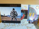 Pink Floyd Delicate Sound of Thunder (8)