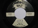 Billy & The King Bees Susie Q b/w Bango R&B MOD SOUL PROMO Volt 45 HEAR mp3