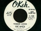 THE OPALS TENDER LOVER DOES IT MATTER NEAR MINT RARE NORTHERN SOUL 45