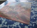 The Rolling Stones Their Satanic Majesties Request 3D Vinyl LP cleaned gereinigt