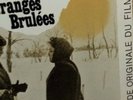 Jean Michel jarre Les Granges Brulees