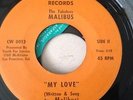 RARE SWEET SOUL ... THE FABULOUS MALIBUS ( UNITY)