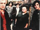 THE GREENHORNES Raconteurs 