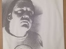 Cult Hero I'm A Cult Hero b/w I Dig You Fiction Records FICS006 Cure 1979