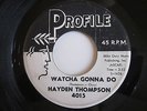 HAYDEN THOMPSON Watcha Gonna Do Profile Rockabilly ORIGINAL RARE 45 HEAR