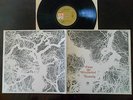 Strawbs - From the witchwood - prima rara stampa originale UK - g/f cover - mint
