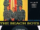 THE BEACH BOYS 