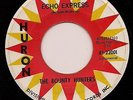 THE BOUNTY HUNTERS Echo Express HURON POUNDING Surf Guitar Instrumental LISTEN