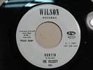 FELICITY:(w/Don Henley From Eagles)Hurtin 2:55-I’ll Try It-U.S.7