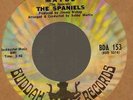 Spaniels Maybe/Goodnight sweetheart Buddah 153 doowop northern soul 45