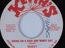 Reggae 45 BREEZY Riding On a High and Windy Day KEITH'S HEAR VG++/NM