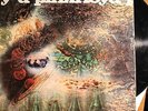 Pink Floyd 'Saucerful of Secrets' -PINK FLOYD Original Mono LP in v. poor cond