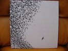 Sky Blue Sky LP by Wilco May-2007, 2 Discs, Nonesuch 131388-1 Unplayed FREE SHIP