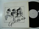 GENESIS - YOU'LL LOVE US LIVE (RARE LP) FM broadcast not TMOQ