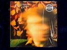 Ty Segall 