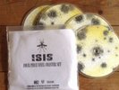 Isis Four Piece Vinyl Coaster Set RSD 2010 Gift Red Sparowes Pelican Neurosis