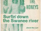 BEACH BOYS / HONEYS Surfin Down The Swanee River DENMARK 45 Brian Wilson HEAR