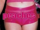 Teaches Of Peaches - Peaches - LP VINYL - Fast UK Post