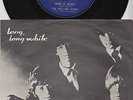 ROLLING STONES * Paint It Black * 1966 DANEMARK 45 *