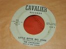 THE CAVALIERS on Cavalier UNKNOWN CRUDE TEXAS R&B GARAGE SOUL 45 HEAR