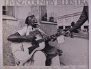 FLORA MOLTON & TRUTH BAND: Living Country Blues Usa, Vol. 3 LP (Germany, sl cw)