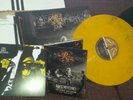 Third Man Vault Package 18: Raconteurs Live and The Dead Weather (Complete)