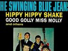 CANADA ORIG CAPITOL 6000 1960s ROCK 33 RPM THE SWINGING BLUE JEANS : HIPPY HIPPY