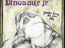 RARE Dinosaur Jr. - You're Living All Over Me Green Vinyl X/500 bug green where