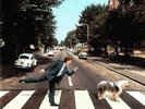 Paul McCartney Paul Is Live 2 LP UK  Vinyl     STILL SEALED (RARE BEATLES)