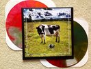 Pink Floyd Upelkuchen 2LP Bootleg - VERY Limited 31/110 - No TMOQ