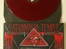 SATURNALIA TEMPLE 