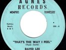 MEMPHIS ROCKABILLY ROCKER - DAVID LEE - THAT'S THE WAY I FEEL - RARE 45rpm