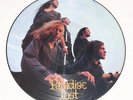 PARADISE LOST -Gothic PIC-LP 1991, first press VILE 26P