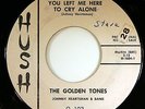 HEAR Golden Tones 45 Ocean of Tears HUSH 102 RARE doo wop R&B Johnny Heartsman