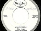 NOREEN CORCORAN TEEN NORTHERN SOUL ON VEE JAY LABLE VJ-555 PROMO LOVE KITTEN
