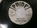 Motivations -The Birds / Motivate-Pride 301 D. J. Copy Surf Garage Hotrod