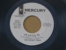 ZAKARY THAKS BAD GIRL MERCURY orig US GARAGE FUZZ PUNK PSYCH 7