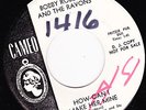 GARAGE 45 RPM - BOBBY ROBERTS AND THE RAVONS on CAMEO RECORDS (PROMO)