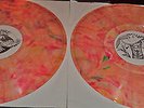 Bruce Springsteen No Nukes Multi Colored Tie Dye 2 LP  Jackson Browne Tom Petty
