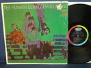 The Human Beinz - Evolutions - 1968 - Capitol Label(Shrink)