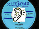THE CABLES -
