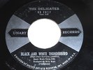 The Delicates: Black And White Thunderbird / Ronnie 45 - Rocker / Teen - HEAR IT